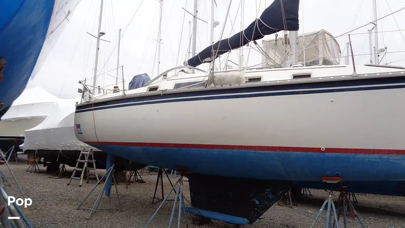 Slide: The Image of Hunter 31 1983 - 12168292