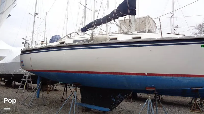 Slide: The Image of Hunter 31 1983 - 12168293