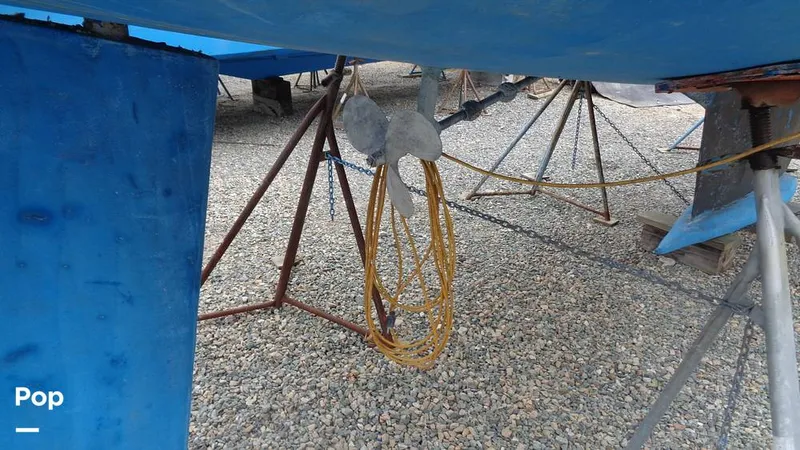 Slide: The Image of Hunter 31 1983 - 12168294