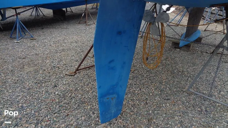 Slide: The Image of Hunter 31 1983 - 12168295