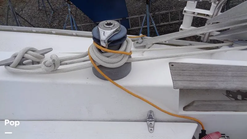 Slide: The Image of Hunter 31 1983 - 12168306