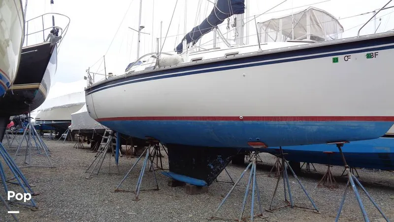 Slide: The Image of Hunter 31 1983 - 12168291