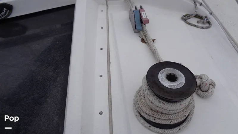 Slide: The Image of Hunter 31 1983 - 12168316