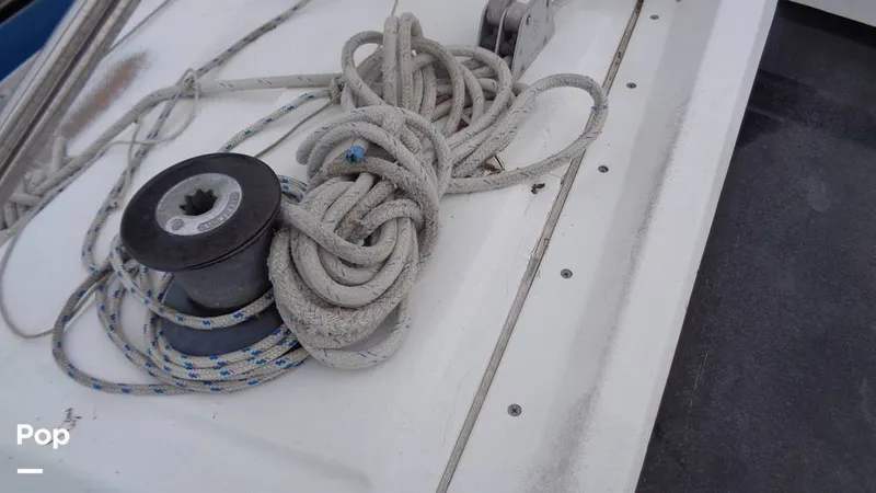 Slide: The Image of Hunter 31 1983 - 12168317