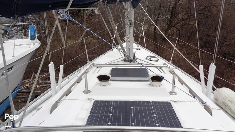 Slide: The Image of Hunter 31 1983 - 12168318