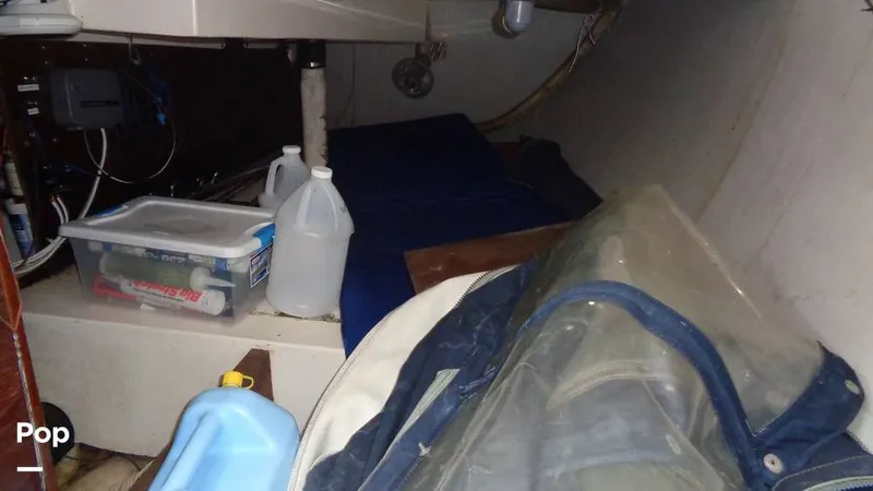 Slide: The Image of Hunter 31 1983 - 12168323