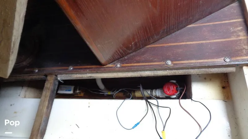 Slide: The Image of Hunter 31 1983 - 12168341