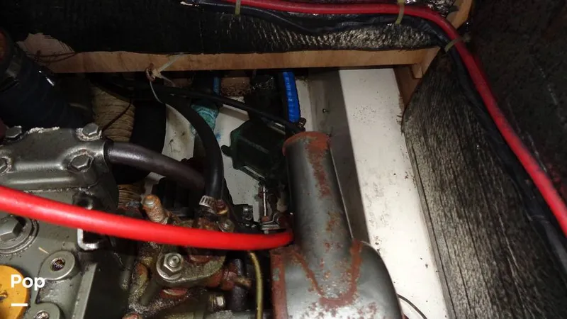 Slide: The Image of Hunter 31 1983 - 12168358