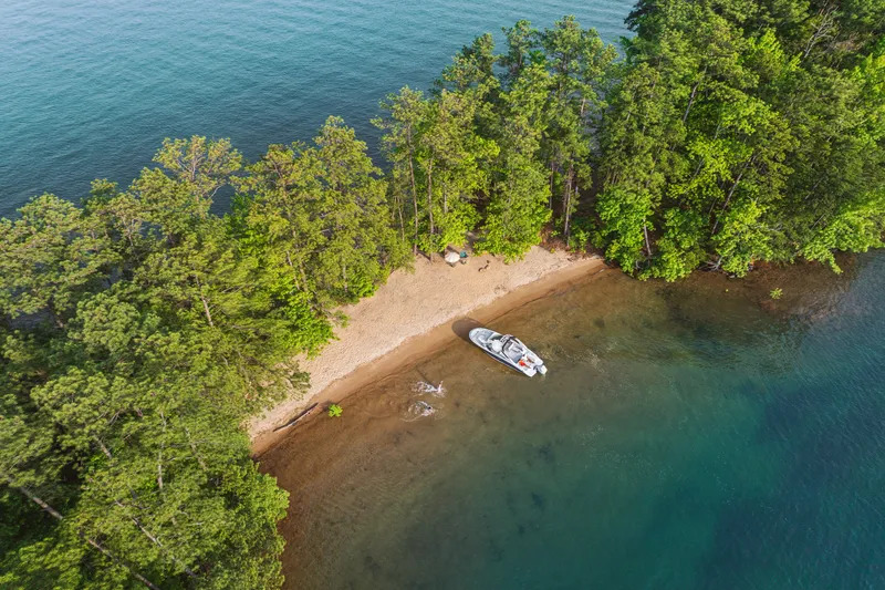 Slide: The Image of Sea Ray SDX 250 Outboard 2025 - 24