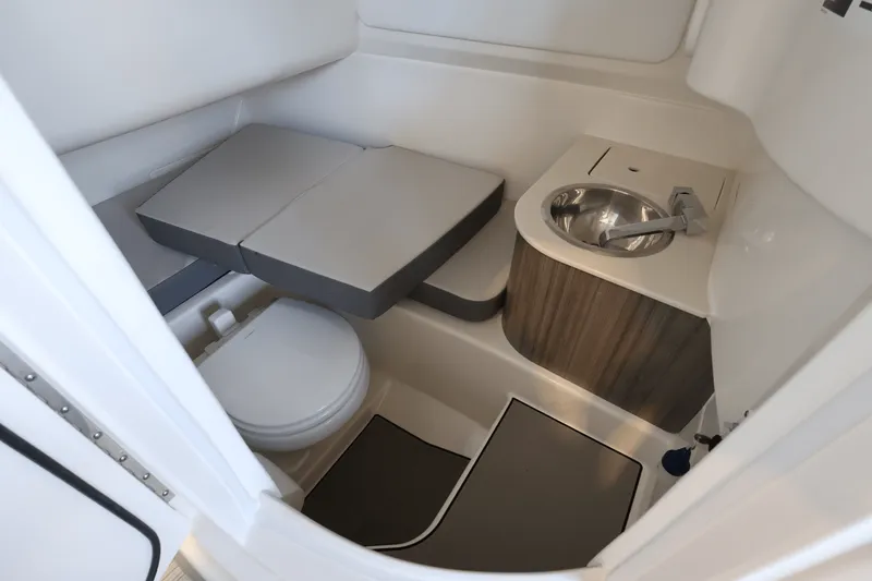 Slide: The Image of Sea Ray SDX 270 Outboard 2025 - 32