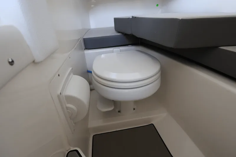 Slide: The Image of Sea Ray SDX 270 Outboard 2025 - 33