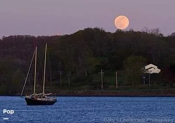 Slide: The Image of Ferro 46 1987 - 12609737