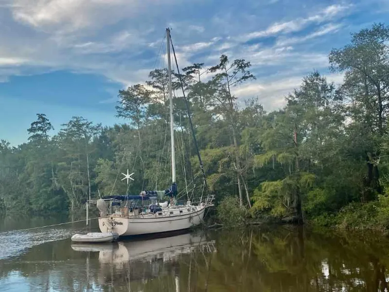 The Image of 1991 Island Packet 38 sailboat anchored in a serene, tree-lined river setting. - 0