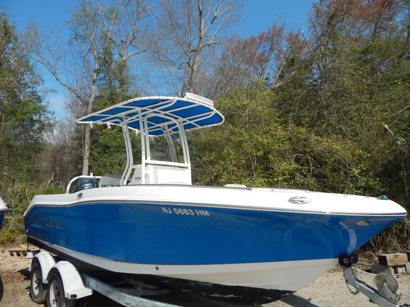 The Image of Robalo R200 2018 - 0