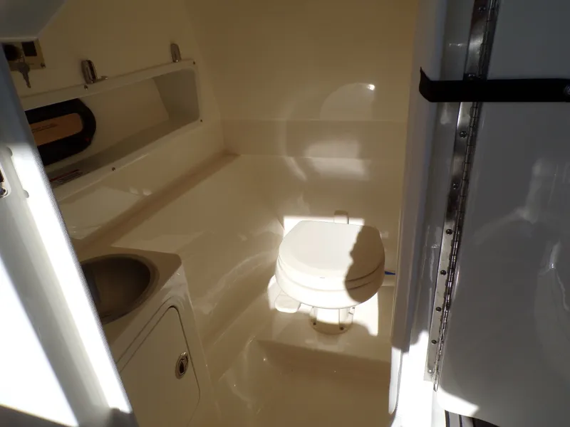 Slide: The Image of Sea Ray SDX 270 2022 - 37