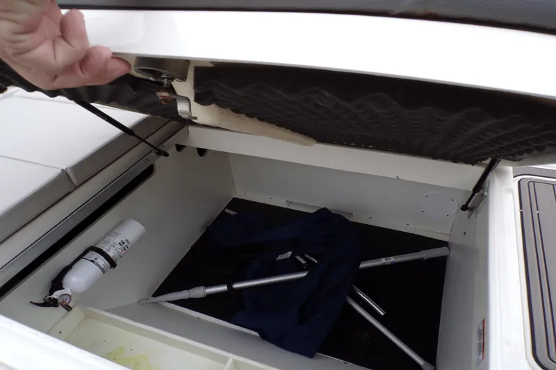 Slide: The Image of Sea Ray SDX 270 2022 - 44