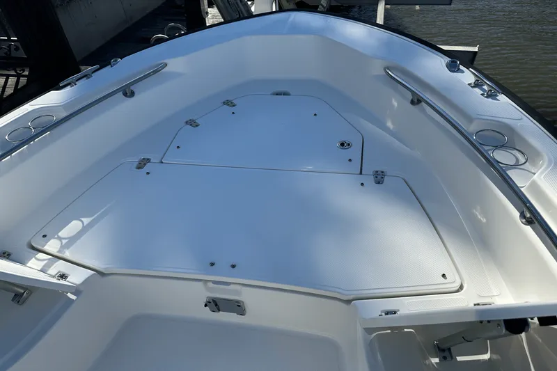 Slide: The Image of Boston Whaler 250 DAUNTLESS 2022 - 5