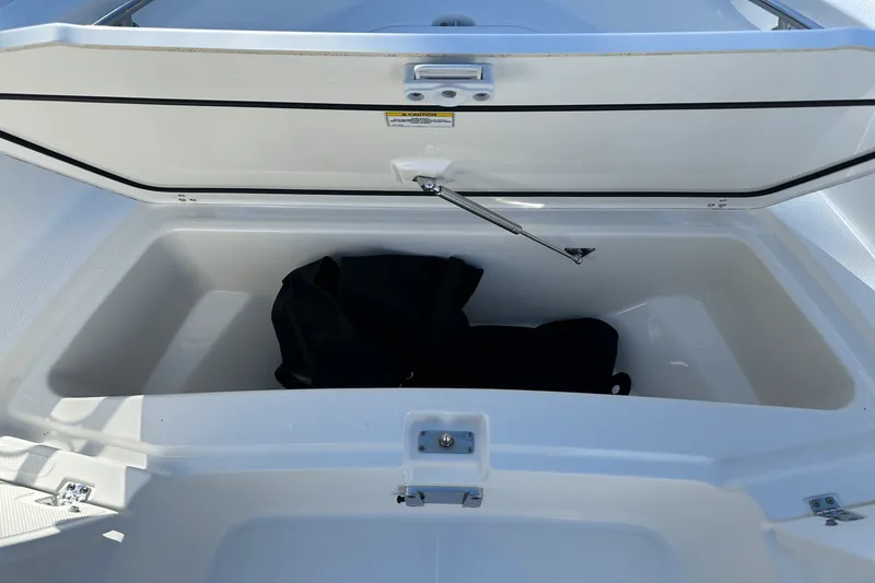 Slide: The Image of Boston Whaler 250 DAUNTLESS 2022 - 7