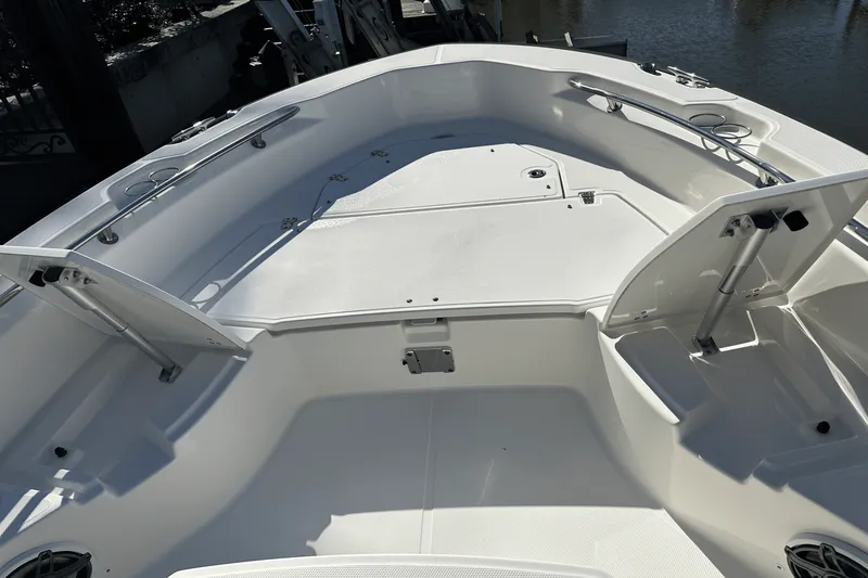 Slide: The Image of Boston Whaler 250 DAUNTLESS 2022 - 8