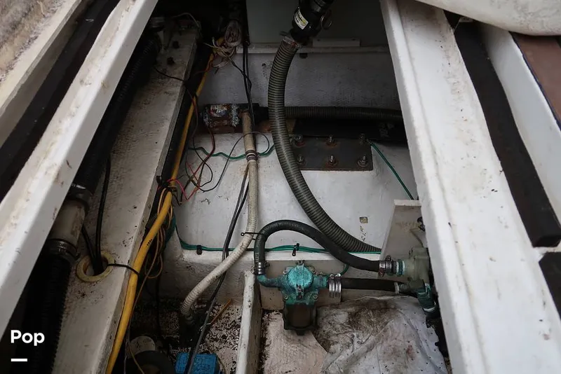 Slide: The Image of Bilge - 12288298