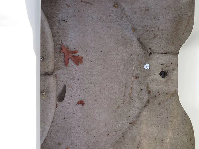 Slide: The Image of Crownline Boats 220 EX 2008 - 12309118