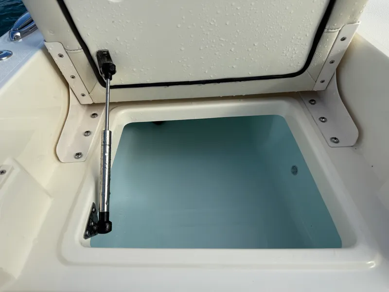 Slide: The Image of Scout 261 XSS 2025 - 8