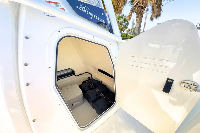 Slide: The Image of Boston Whaler 220 Dauntless 2025 - 18