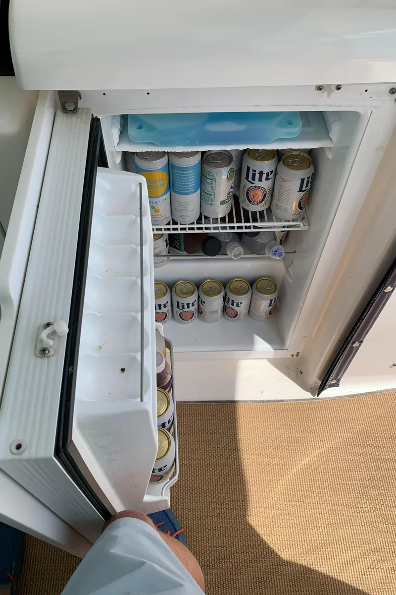 Slide: The Image of Bridge deck refrigerator  - 12