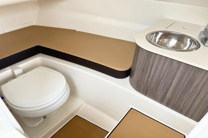 Slide: The Image of Sea Ray 250 SDX 2025 - 7