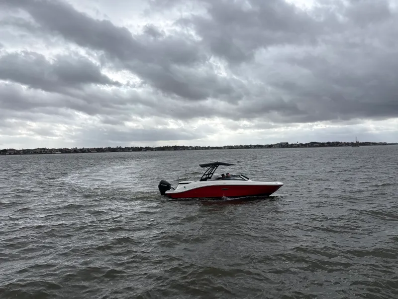 The Image of Sea Ray SPX 230 Outboard 2025 - 0