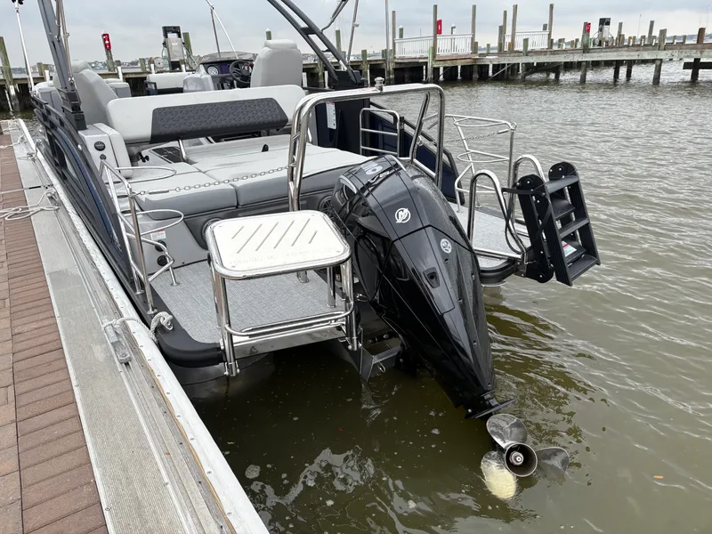 Slide: The Image of Harris 230 Solstice 2025 - 22