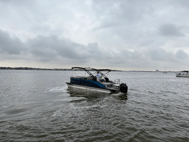 Slide: The Image of Harris 230 Solstice 2025 - 4