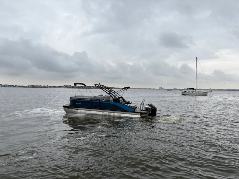 Slide: The Image of Harris 230 Solstice 2025 - 5