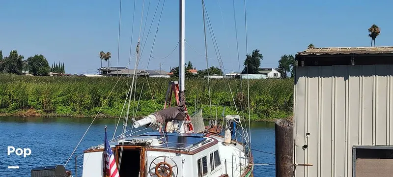 Slide: The Image of Island Trader 40 1982 - 13042877