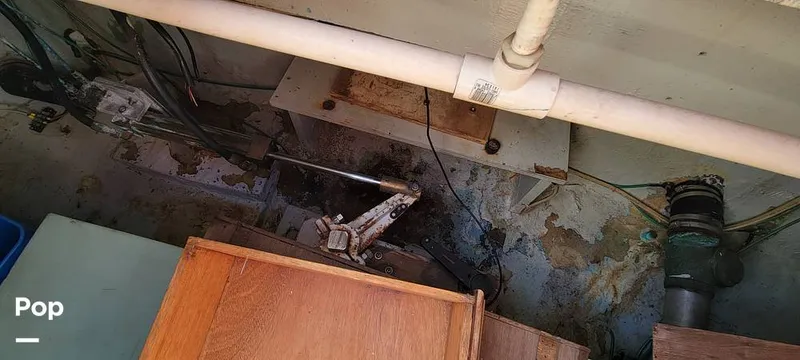 Slide: The Image of Island Trader 40 1982 - 13042978