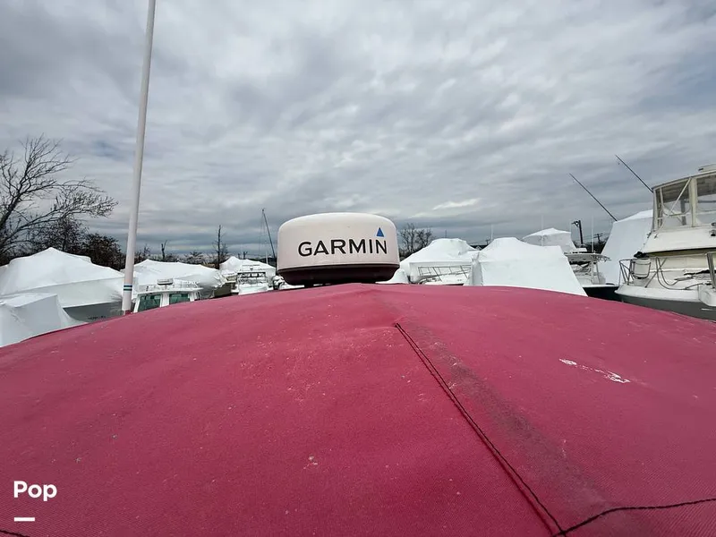 Slide: The Image of Scarab 29 CCF 2002 - 15352426