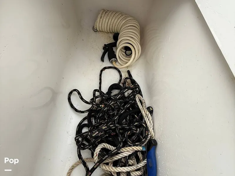 Slide: The Image of Scarab 29 CCF 2002 - 15352433