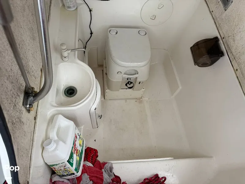 Slide: The Image of Scarab 29 CCF 2002 - 15352438