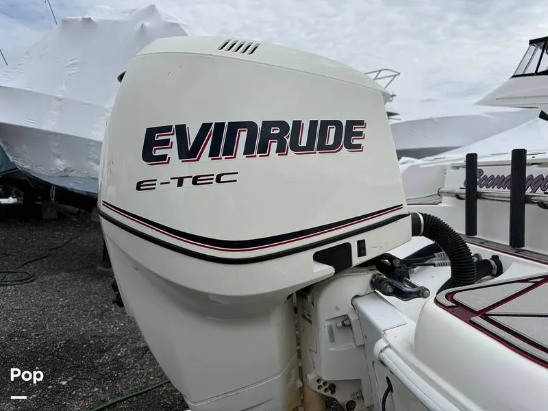 Slide: The Image of Scarab 29 CCF 2002 - 15352413