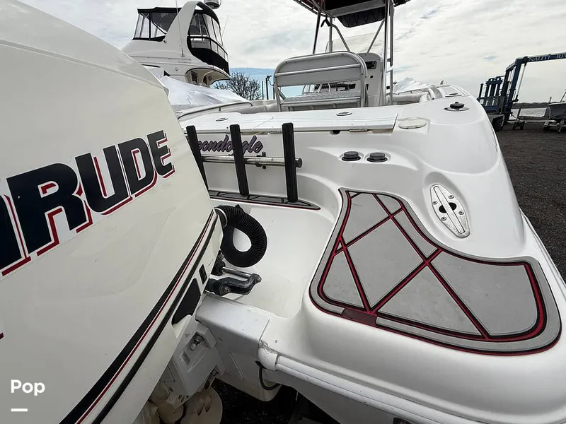 Slide: The Image of Scarab 29 CCF 2002 - 15352414