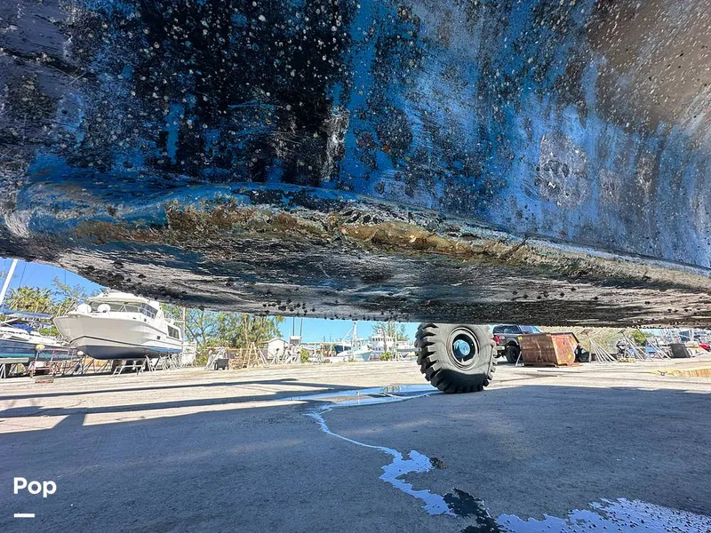 Slide: The Image of Gulfstar 44 1973 - 16001381