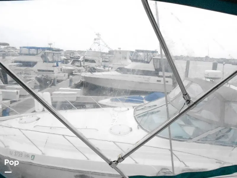 Slide: The Image of Carver Yachts 325 Aft Cabin 1995 - 12628611