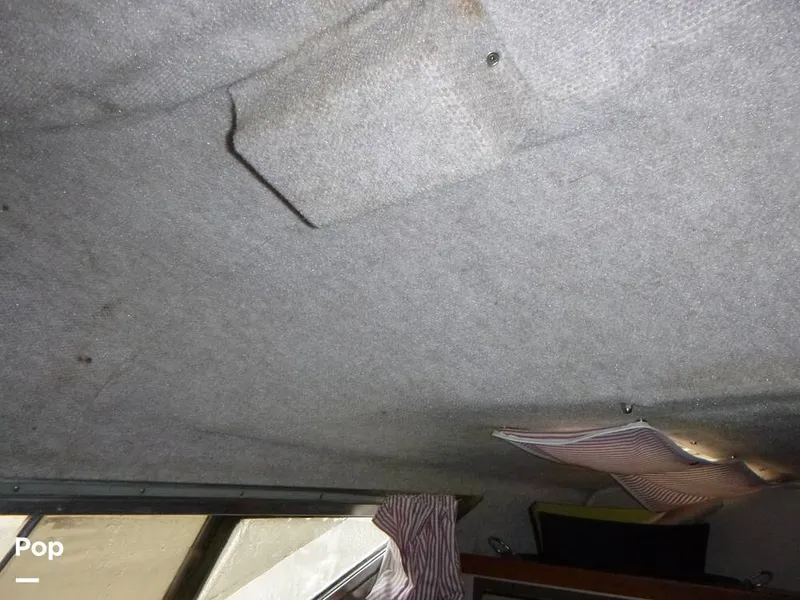 Slide: The Image of Cruisers Esprit 3170 1988 - 12714093