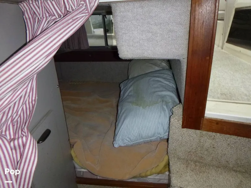 Slide: The Image of Cruisers Esprit 3170 1988 - 12714103