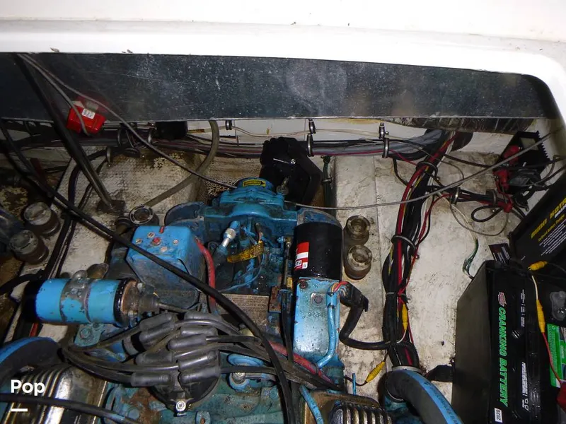 Slide: The Image of Cruisers Esprit 3170 1988 - 12714141