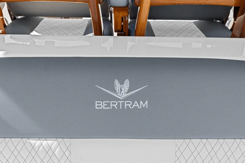 Slide: The Image of Bertram 39CC 2025 - 17