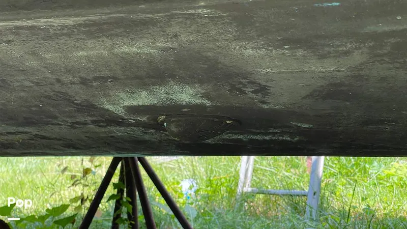 Slide: The Image of Chaparral 310 Signature 1997 - 12735972