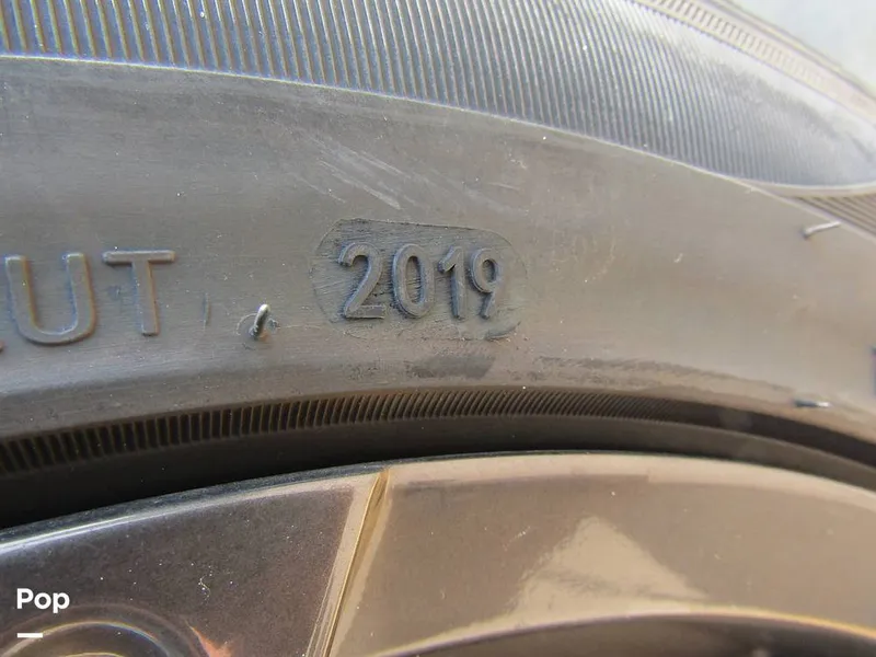 Slide: The Image of Triton TRX 20 Patriot 2020 - 12665071