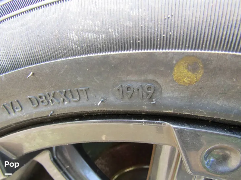 Slide: The Image of Triton TRX 20 Patriot 2020 - 12665081