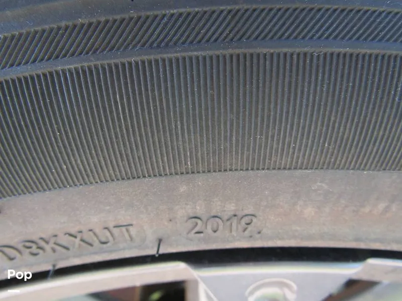 Slide: The Image of Triton TRX 20 Patriot 2020 - 12665082